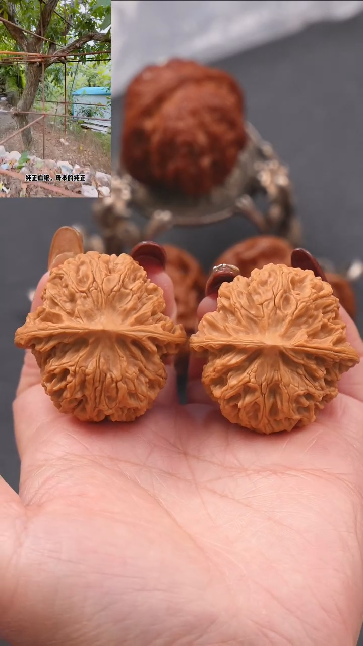 【闪购商品】文玩核桃吊坠41.5苹果园狮子头