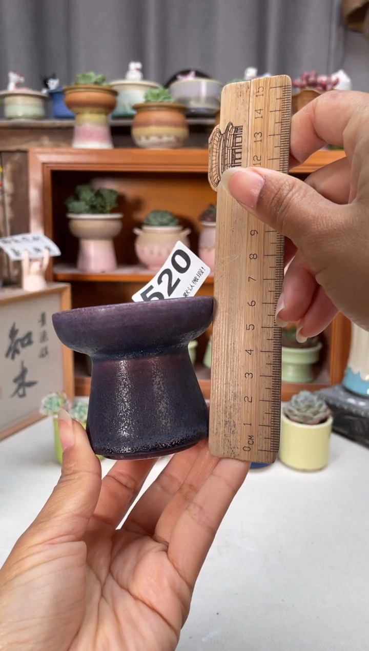 瓷片520小芳直播编号