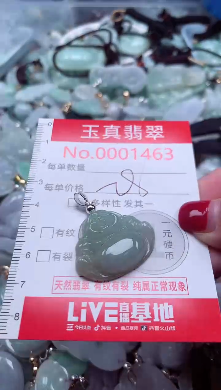 颈饰未镶嵌翡翠1463