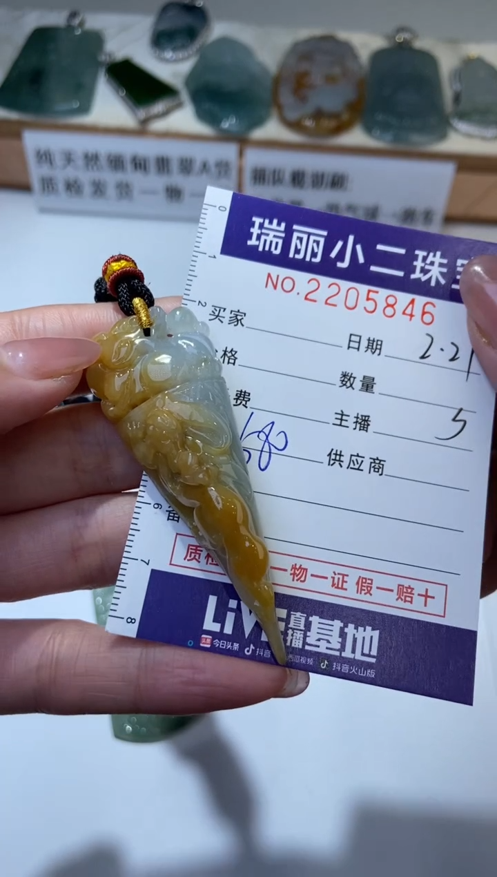 【闪购商品】翡翠颈饰未镶嵌2205846  