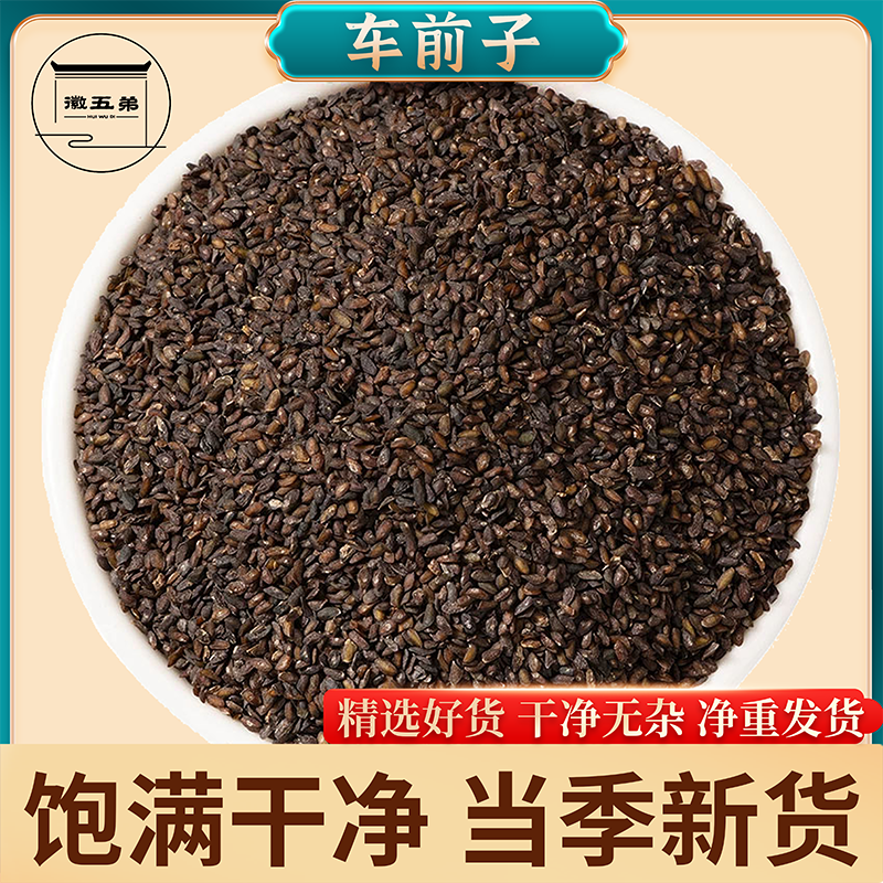 【徽五弟】正经农家当季新货车前子颗粒饱满干净无杂质好货泡水泡茶