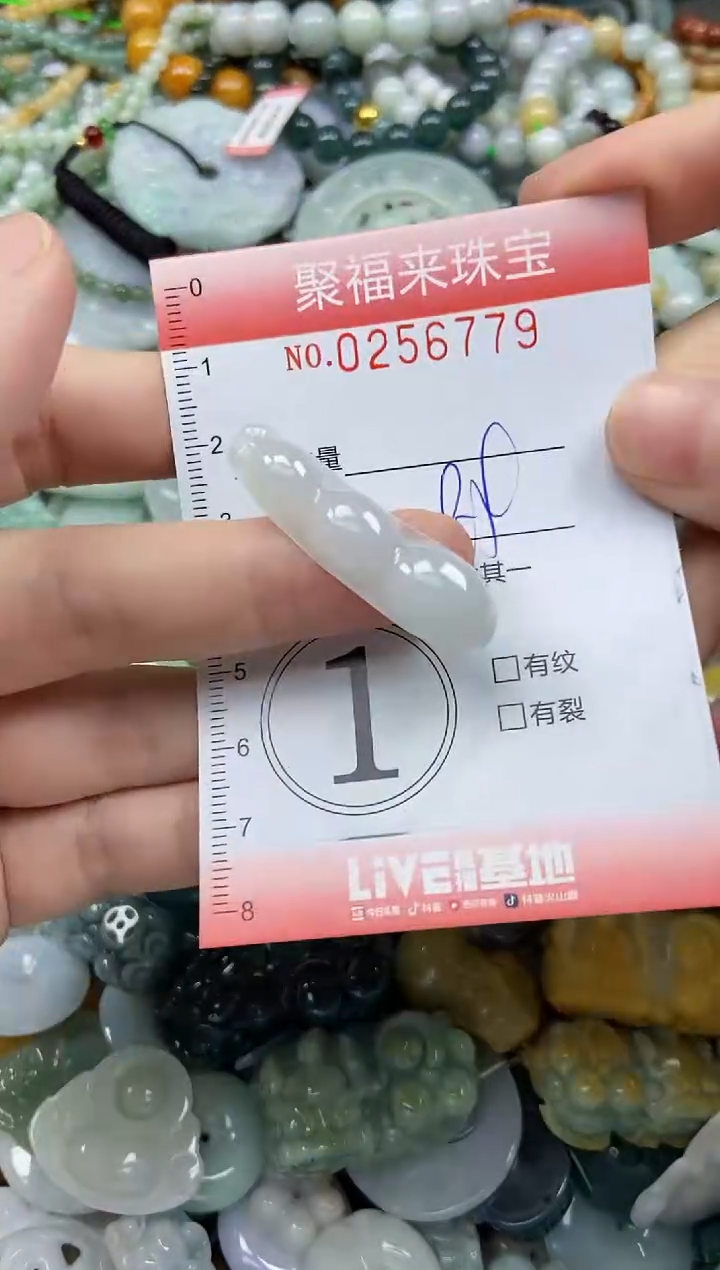 未镶嵌挂件翡翠闪购0256779