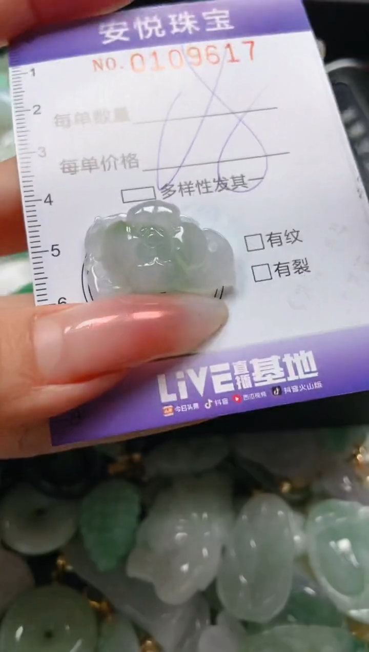 【闪购商品】翡翠颈饰未镶嵌闪购0109617