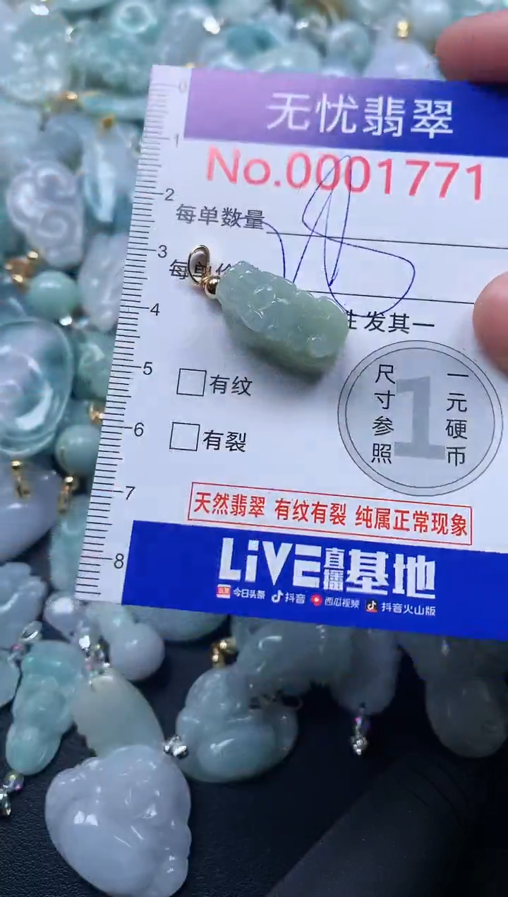 颈饰未镶嵌翡翠1771