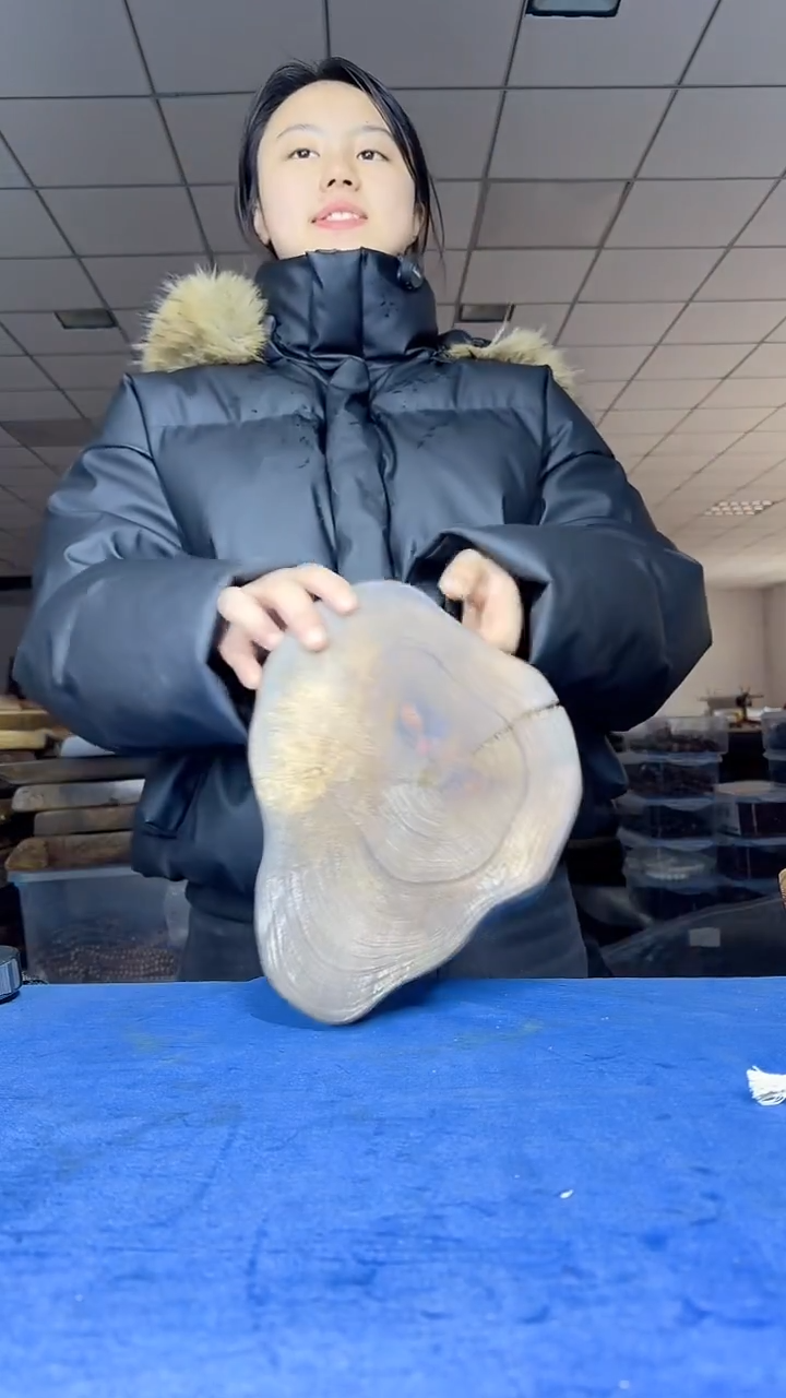 52华莉萱茶具茶盘干泡台（不含配件