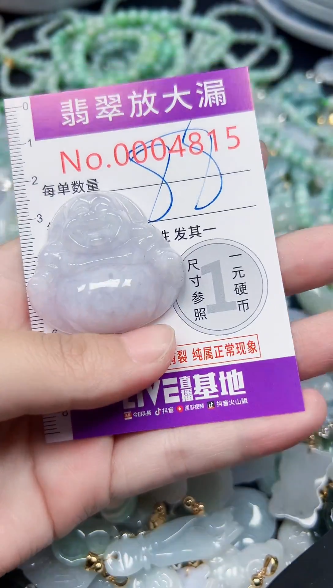 颈饰未镶嵌翡翠4815