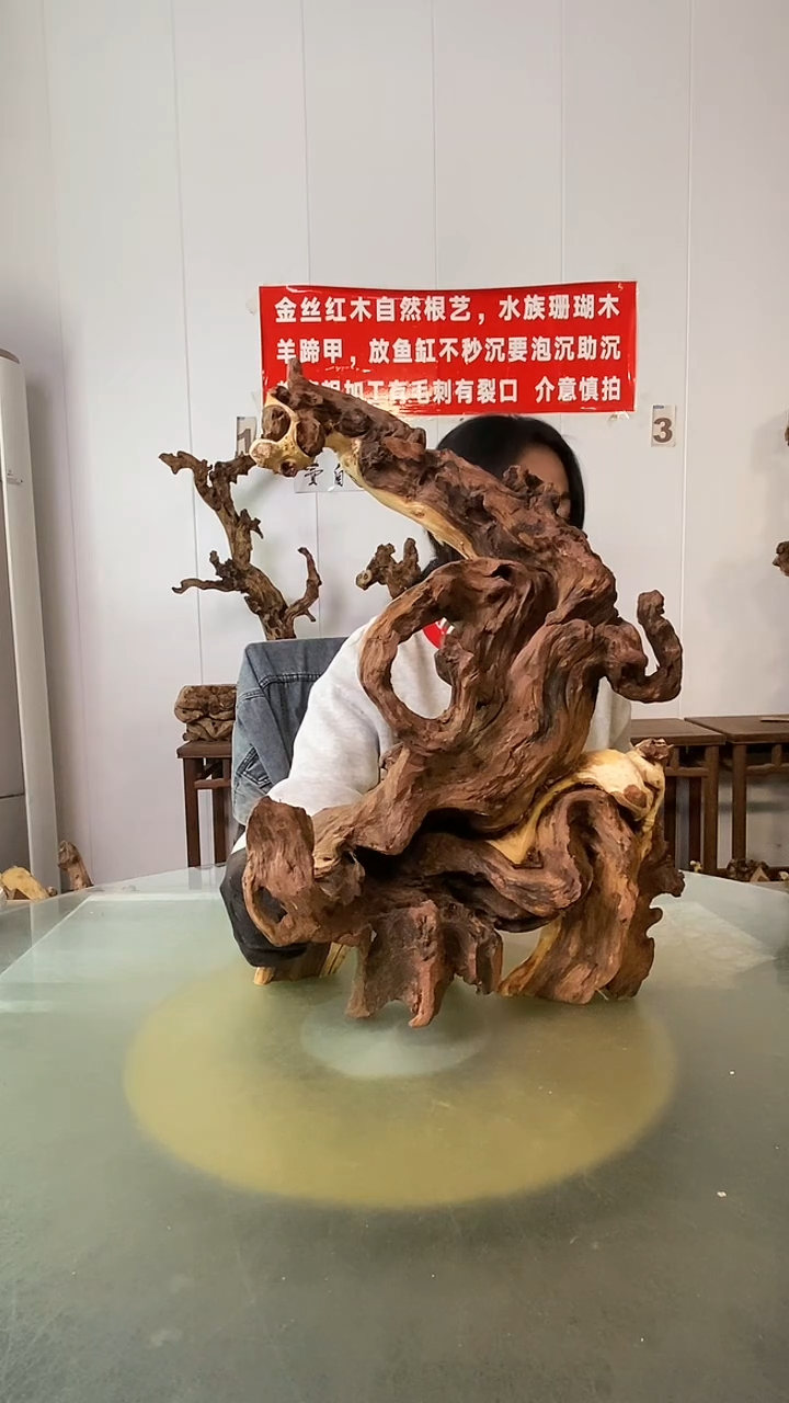 木疏*客金丝红木  羊蹄甲