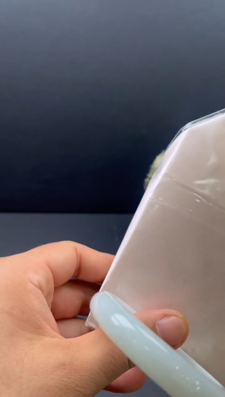 未镶嵌手镯翡翠2