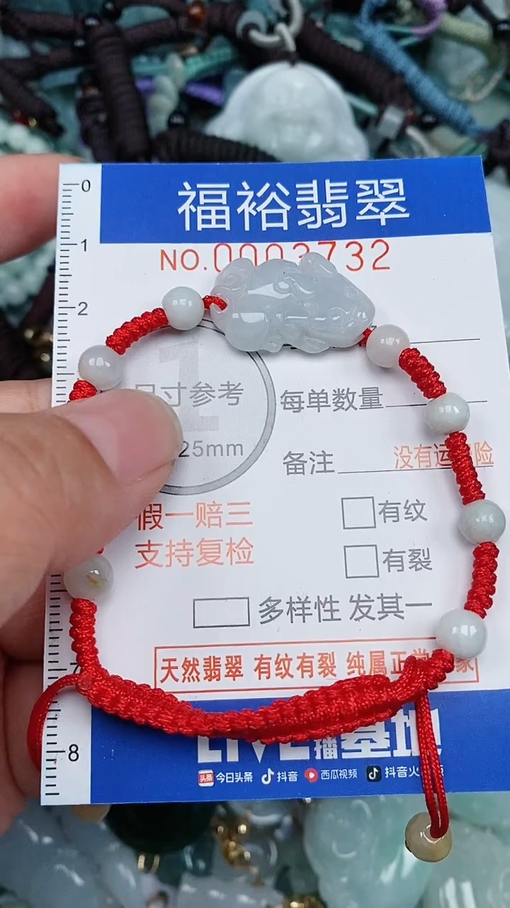 翡翠未镶嵌颈饰...0003732