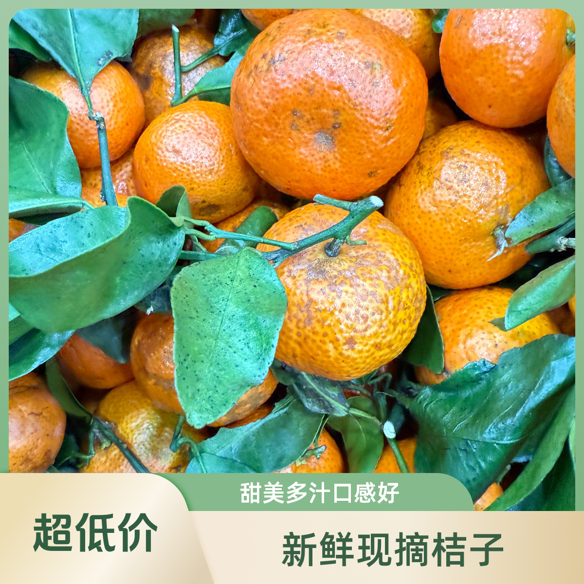  正宗广西砂糖橘会有花皮口感佳介意勿拍   净重三斤起   顺丰包邮