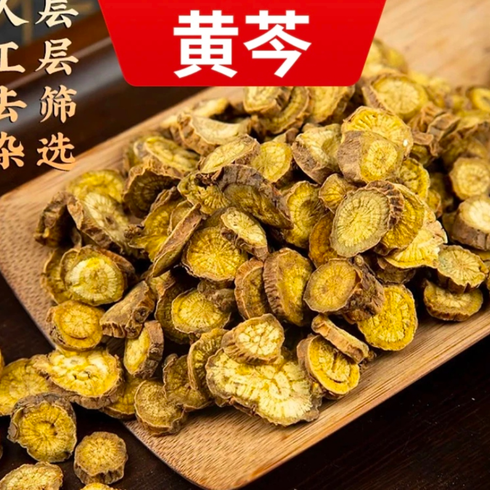 严选常用优选优质产地黄芩选片严选今年新货原色好正品原色中药