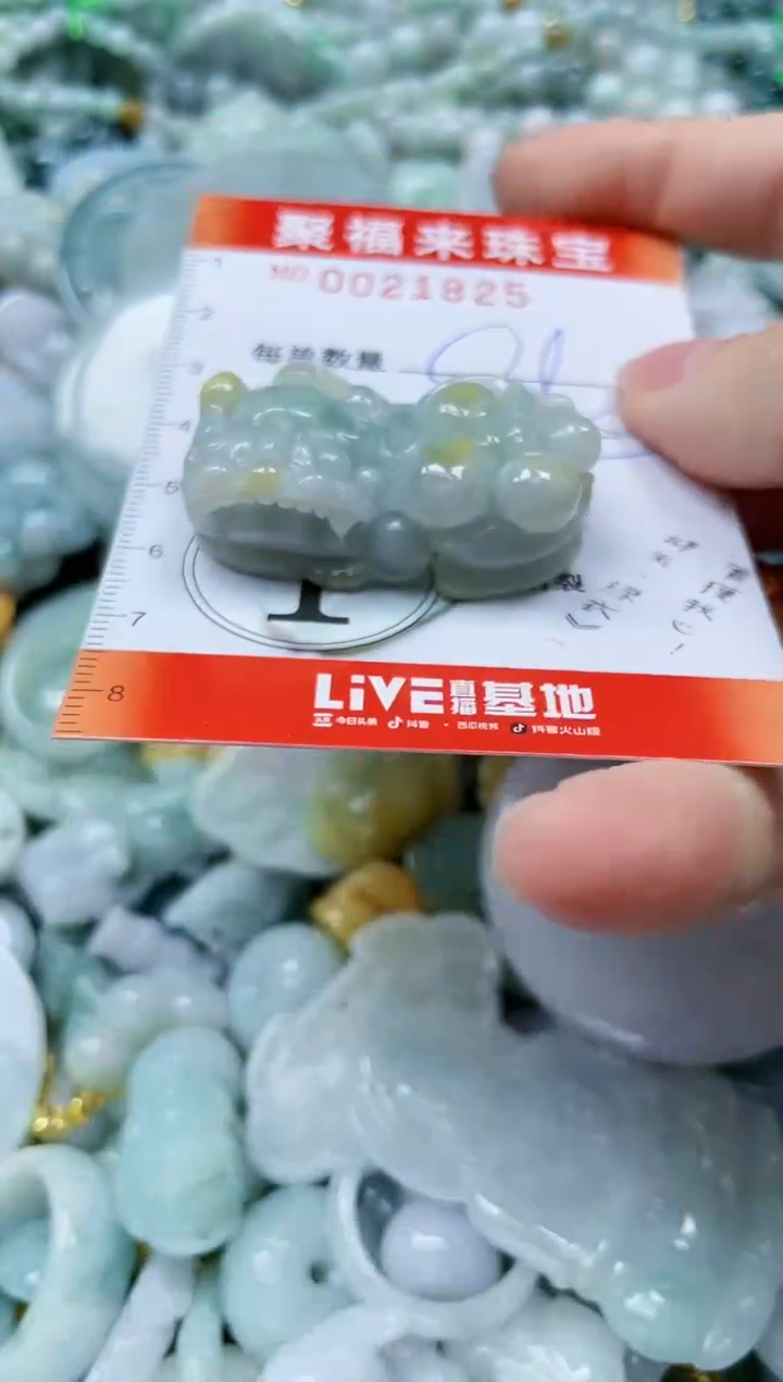 【闪购商品】翡翠颈饰未镶嵌闪购0021825