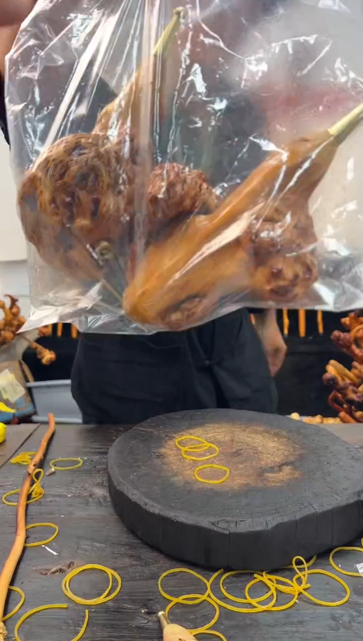 黑果木其他黑果木061