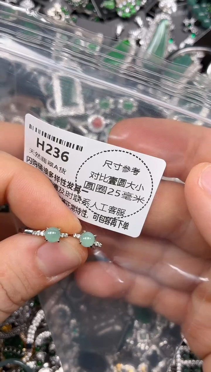 颈饰未镶嵌翡翠H236耳扣