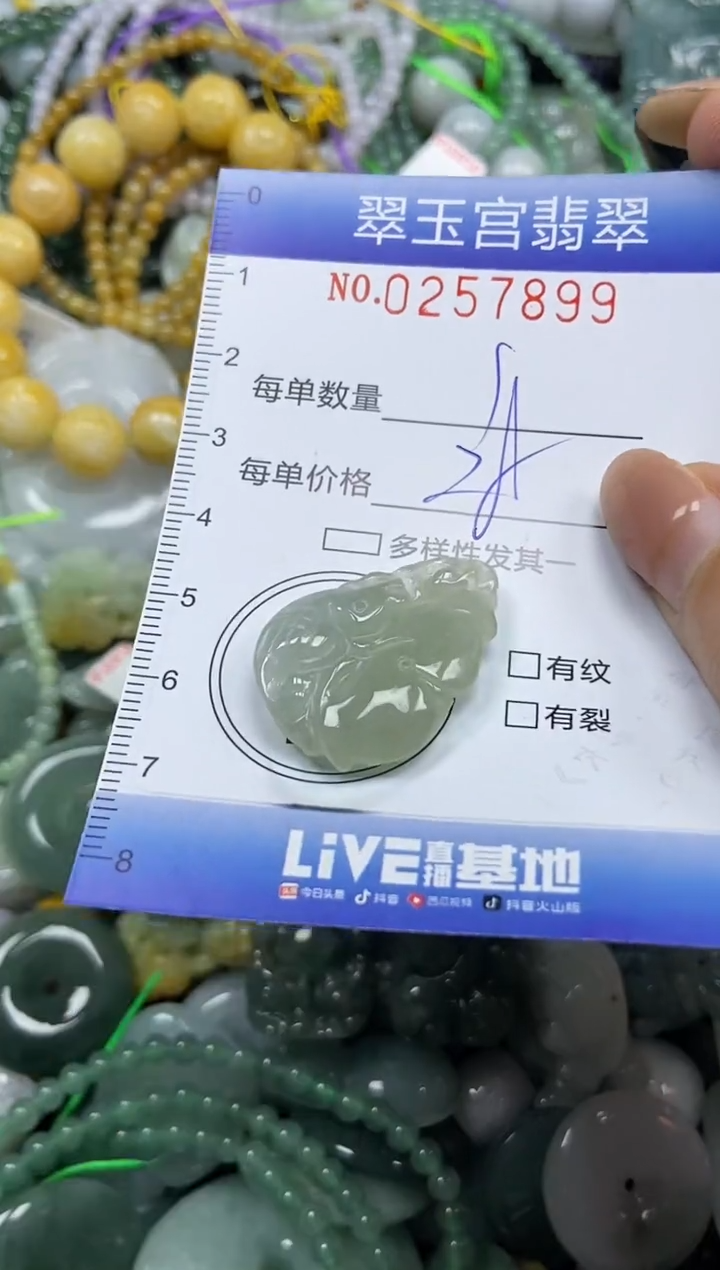 颈饰未镶嵌翡翠闪购C0257899
