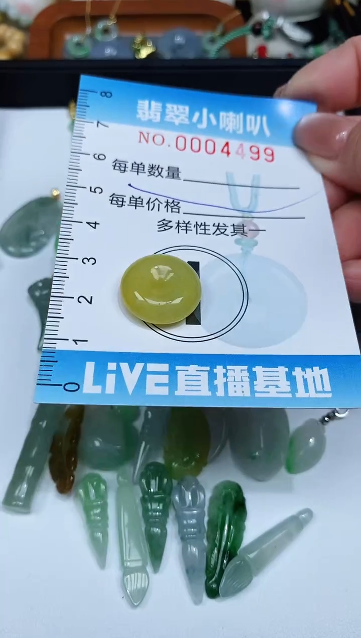 【闪购商品】翡翠颈饰未镶嵌闪购0004499