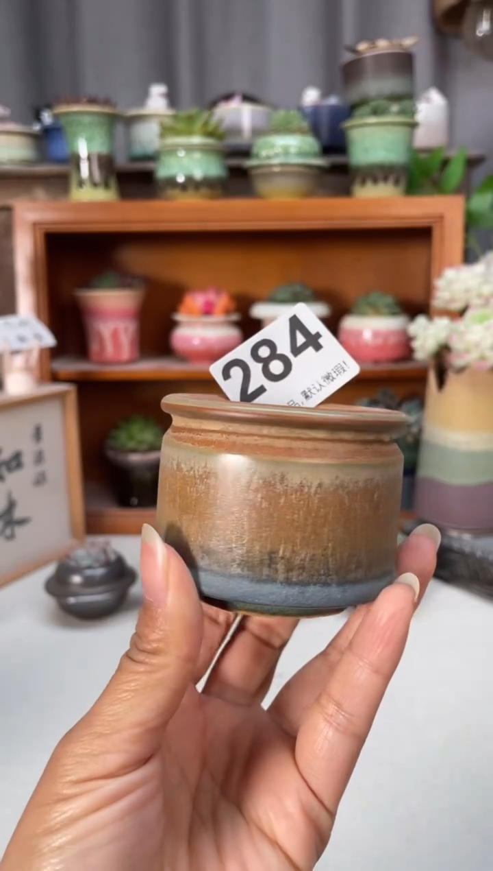 瓷片284知木小芳花盆