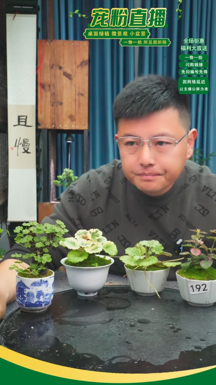 无花朵s***t苔藓微景观192号
