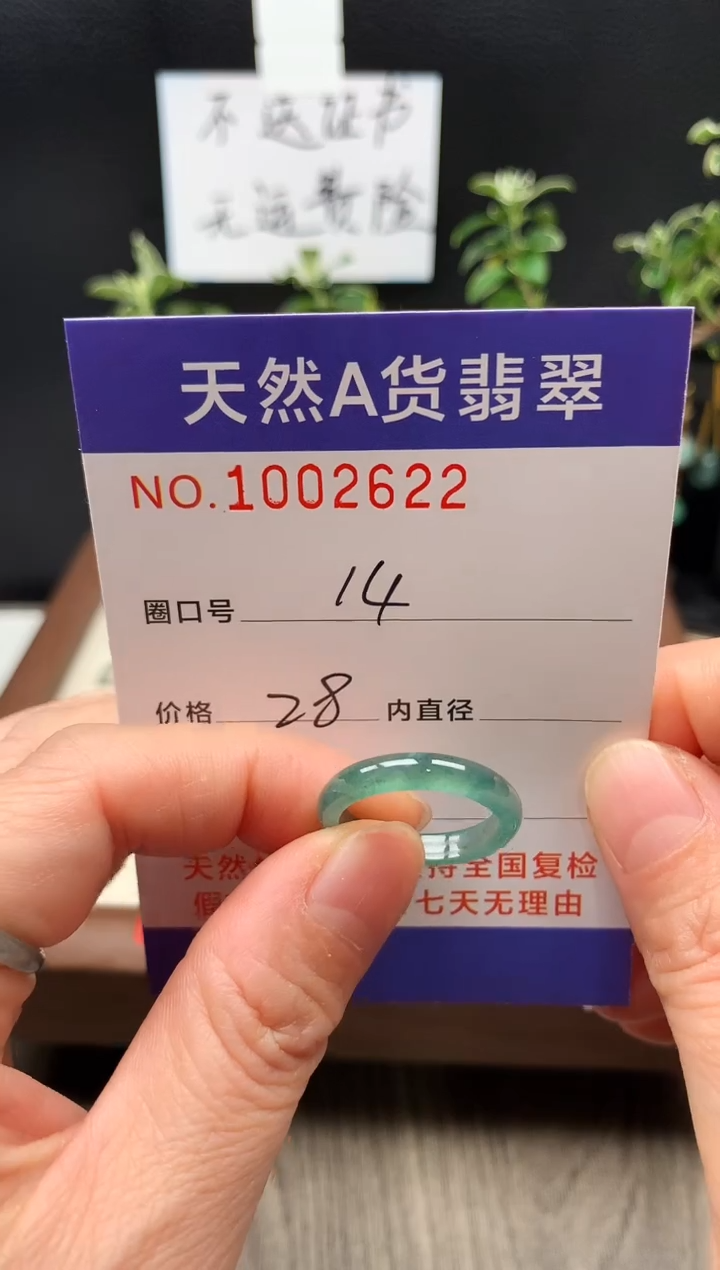 未镶嵌戒指翡翠14#
