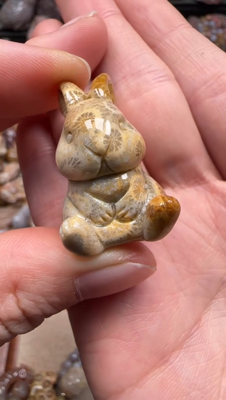 【闪购商品】硅化珊瑚（珊瑚玉）颈饰未镶嵌435