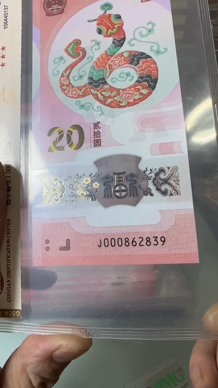 【闪购商品】塑料000862836-蛇钞单张