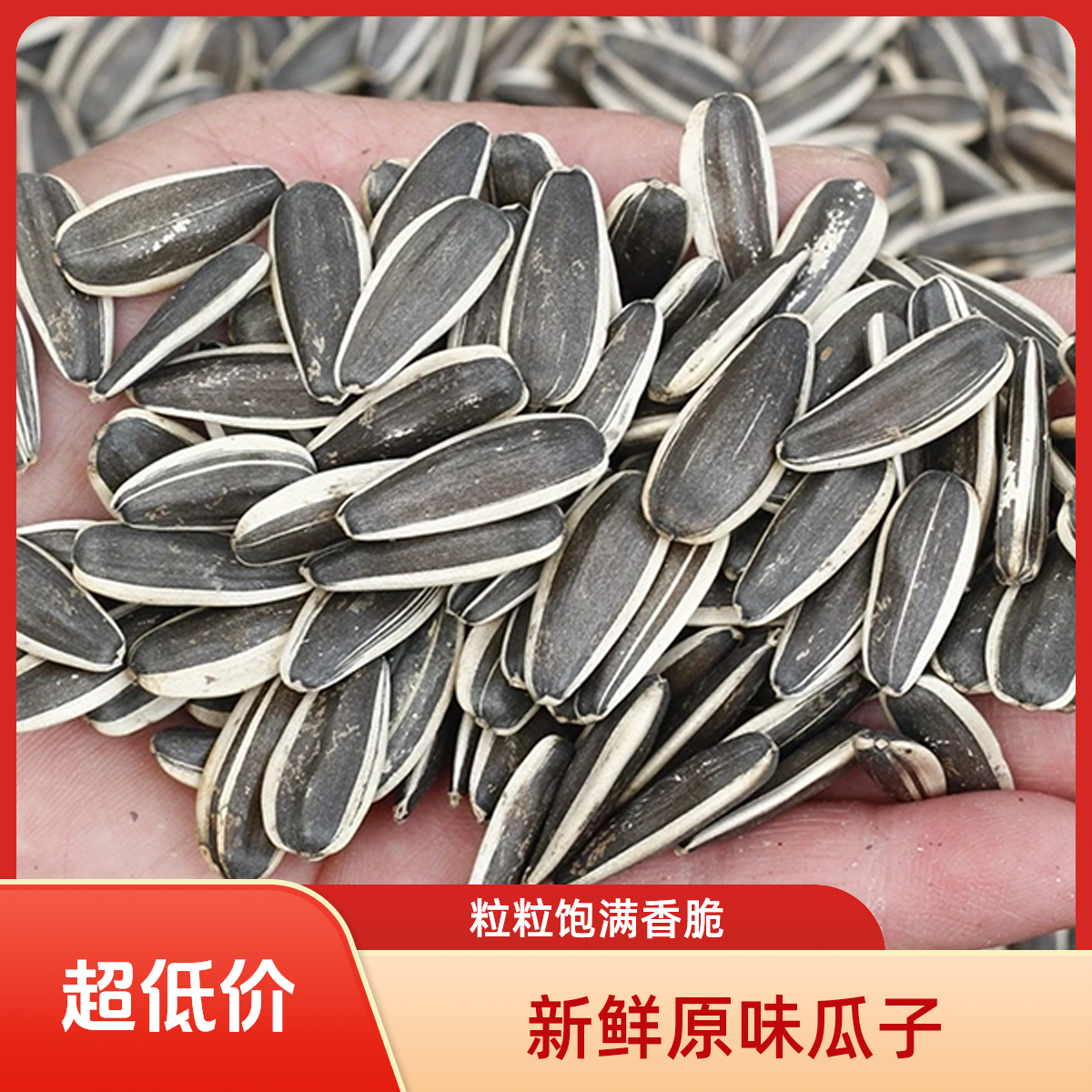 【25年新瓜子】新货内蒙产地原味现炒大颗粒熟瓜子追剧休闲零食坚果