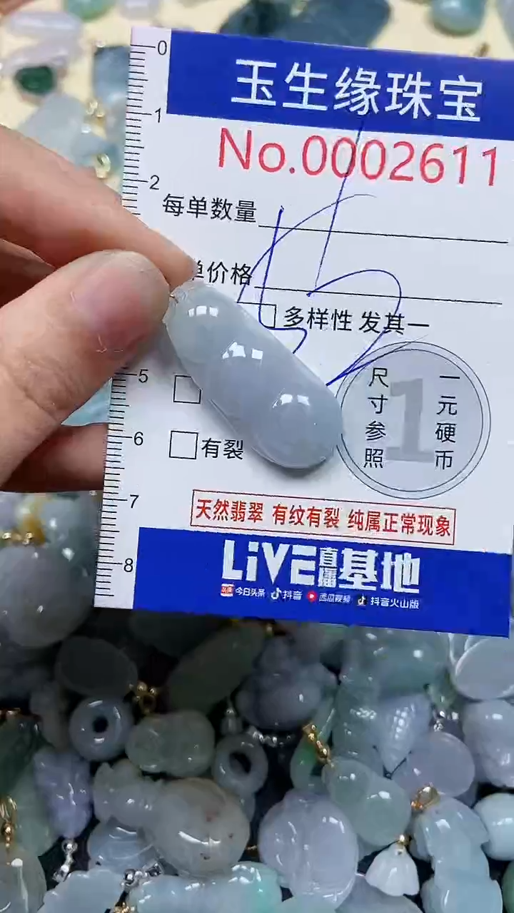 【闪购商品】翡翠颈饰未镶嵌闪购00002611