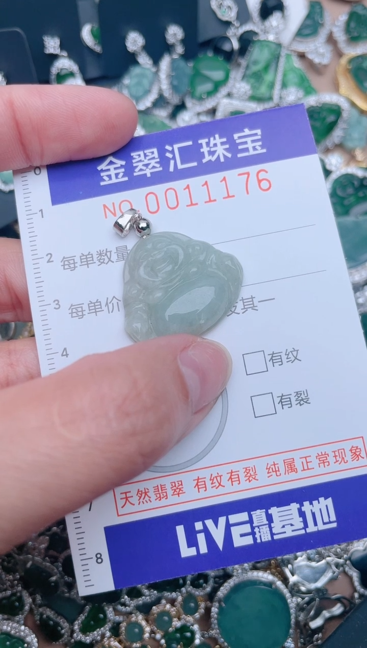 【闪购商品】翡翠颈饰未镶嵌11176.....1