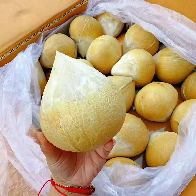 新鲜椰子椰皇