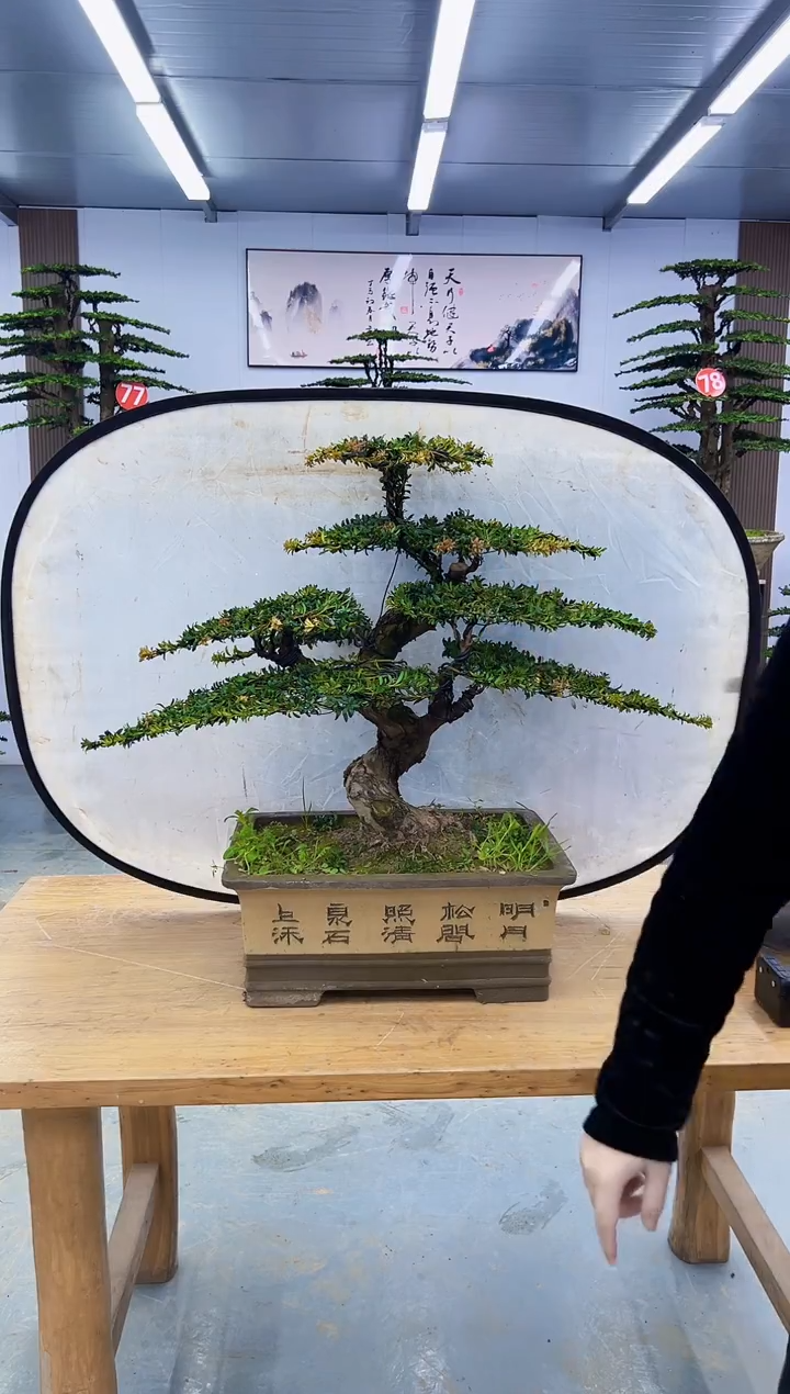 以实际为准000000000