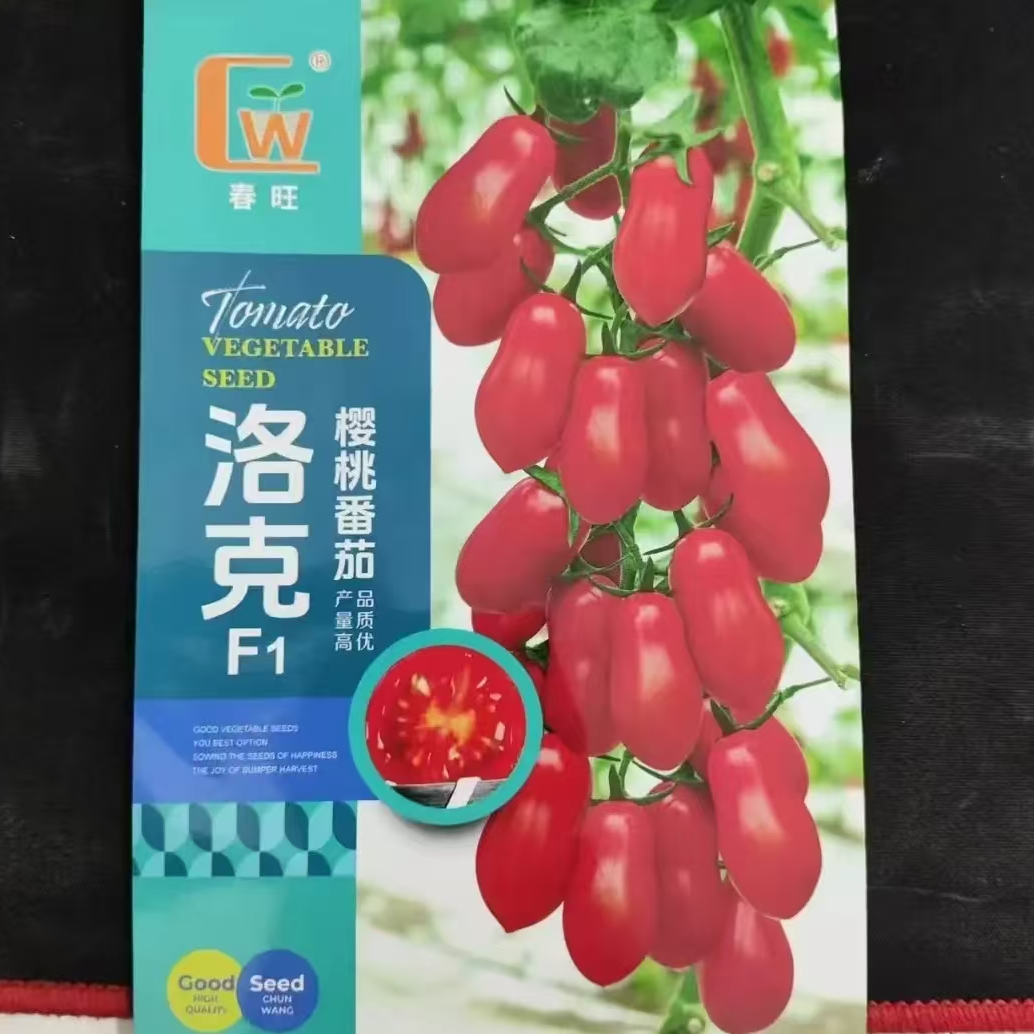 春旺洛克F1樱桃番茄种子 产量高抗病