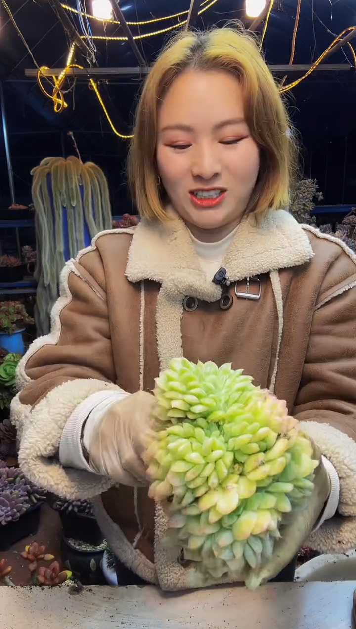 商****坊冰魄缀一物一拍商城