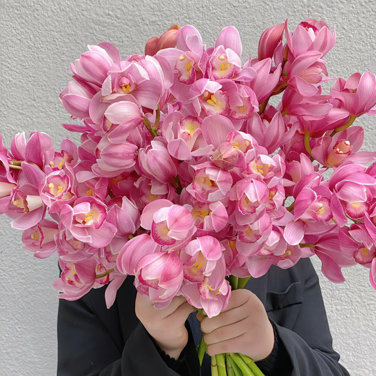 【一日不可无花专属】A级大花惠兰高品质花期长云南直发耐养鲜花