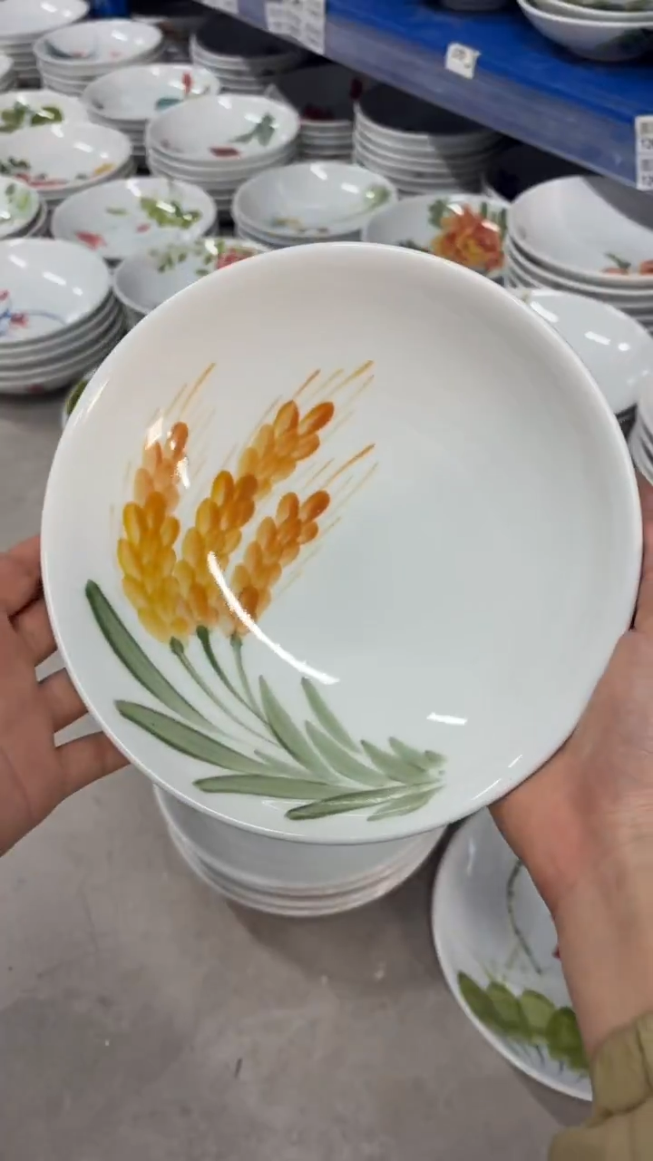瓷片景德镇高温陶瓷食品级手绘釉中彩-圆深盘