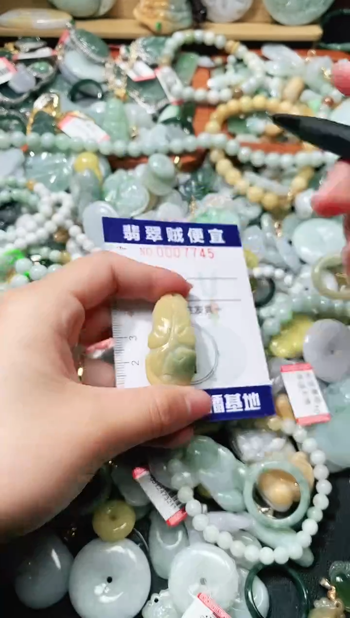 【闪购商品】翡翠颈饰未镶嵌闪购0007745