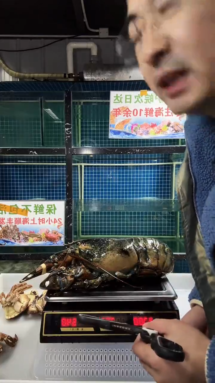 中国大陆波龙加两只面包蟹