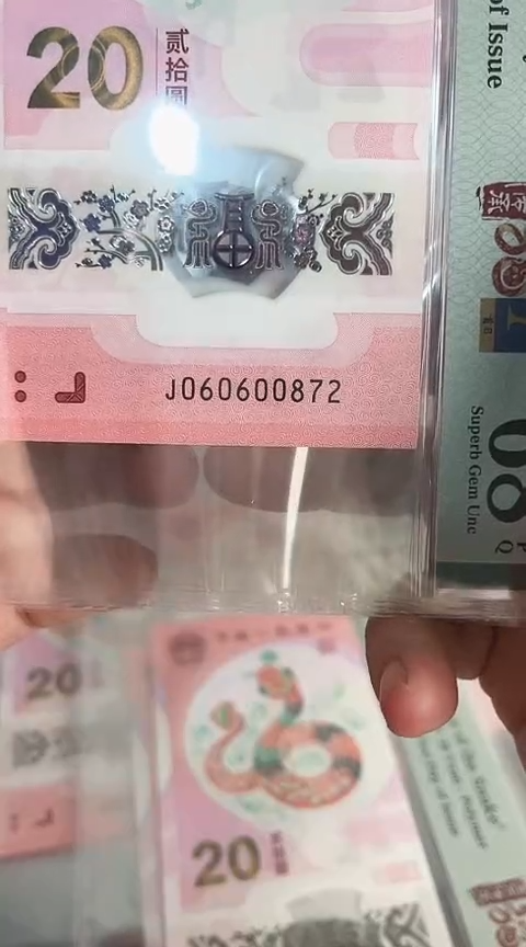 【闪购商品】塑料蛇钞单张060600872PMG68分