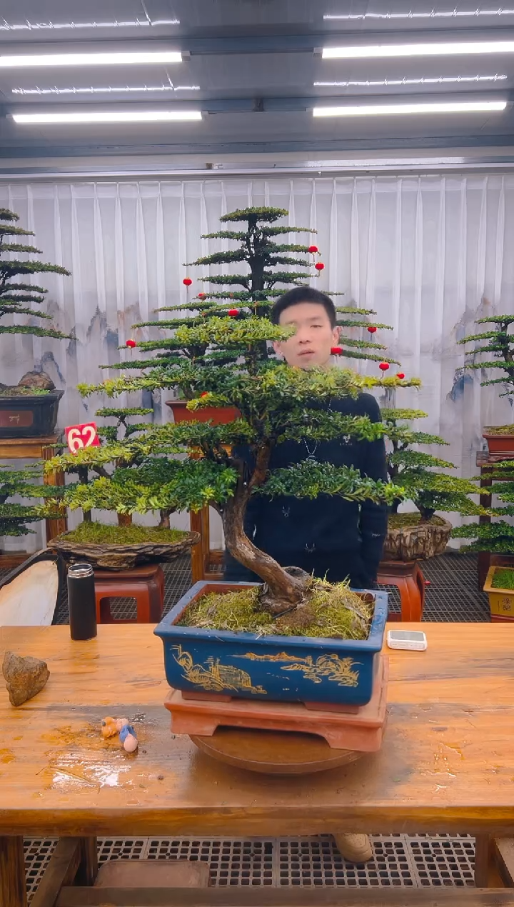 【闪购商品】紫砂精品盆景直播间一物一拍