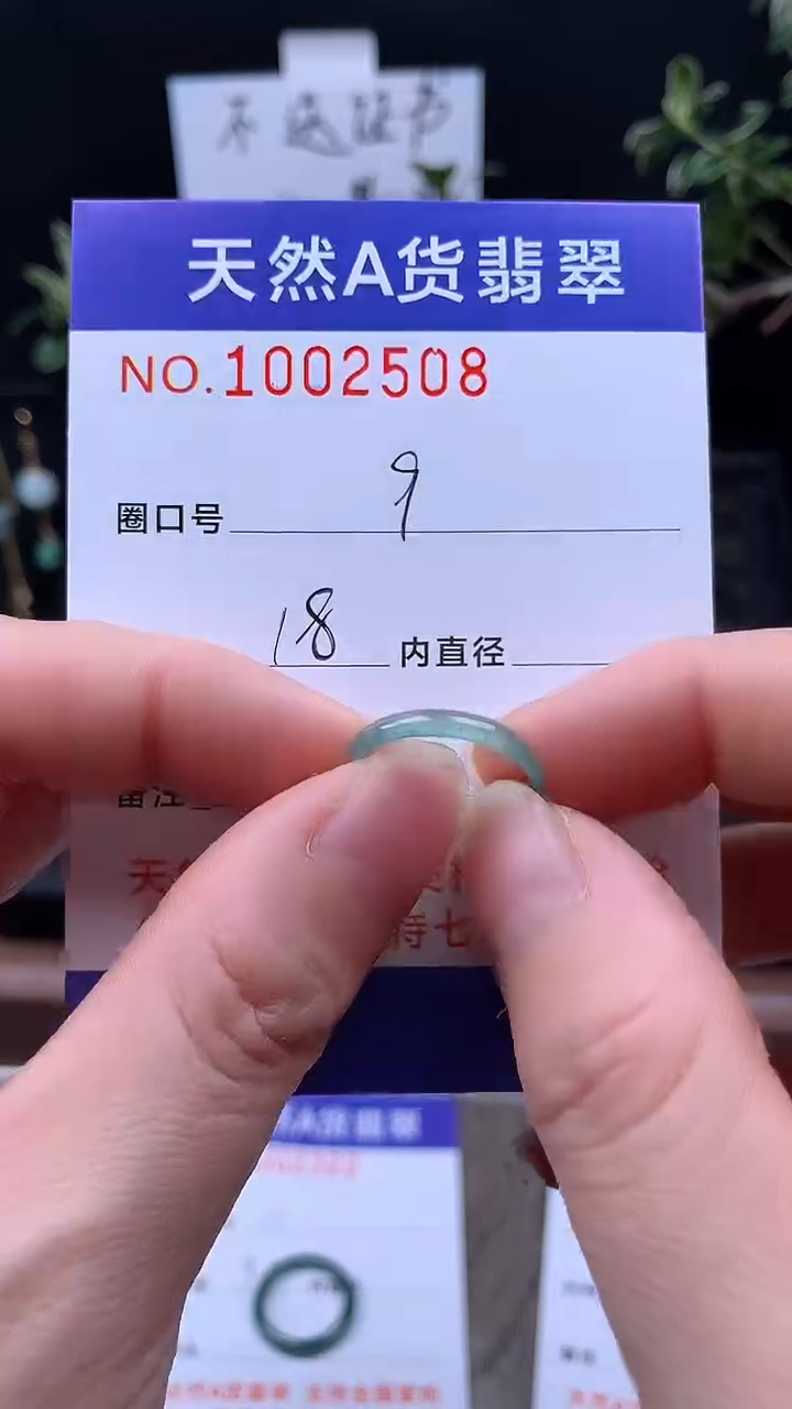 未镶嵌戒指翡翠9#