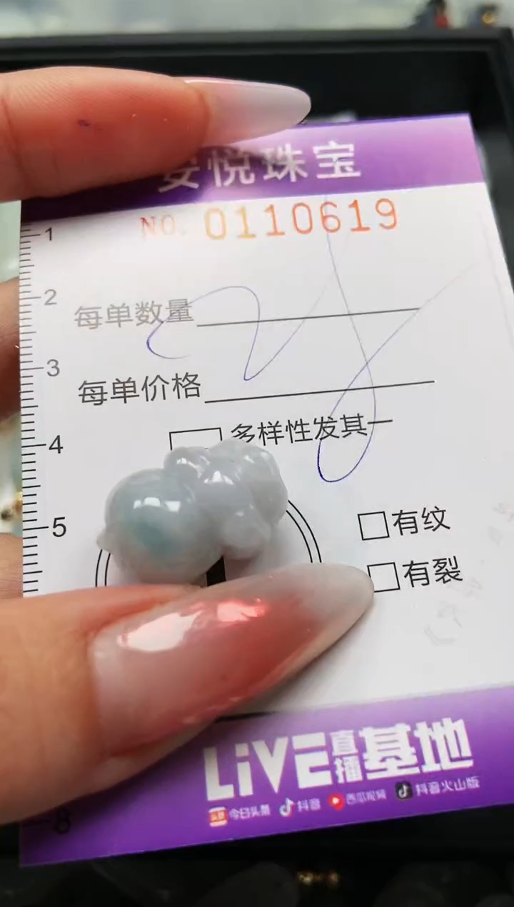 【闪购商品】翡翠颈饰未镶嵌闪购0110619