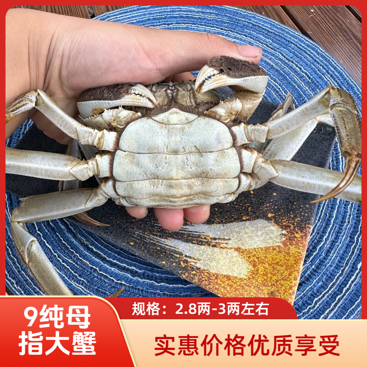 【活蟹】大闸蟹全母蟹2.8两-3两网兜装3-10只1-3斤装
