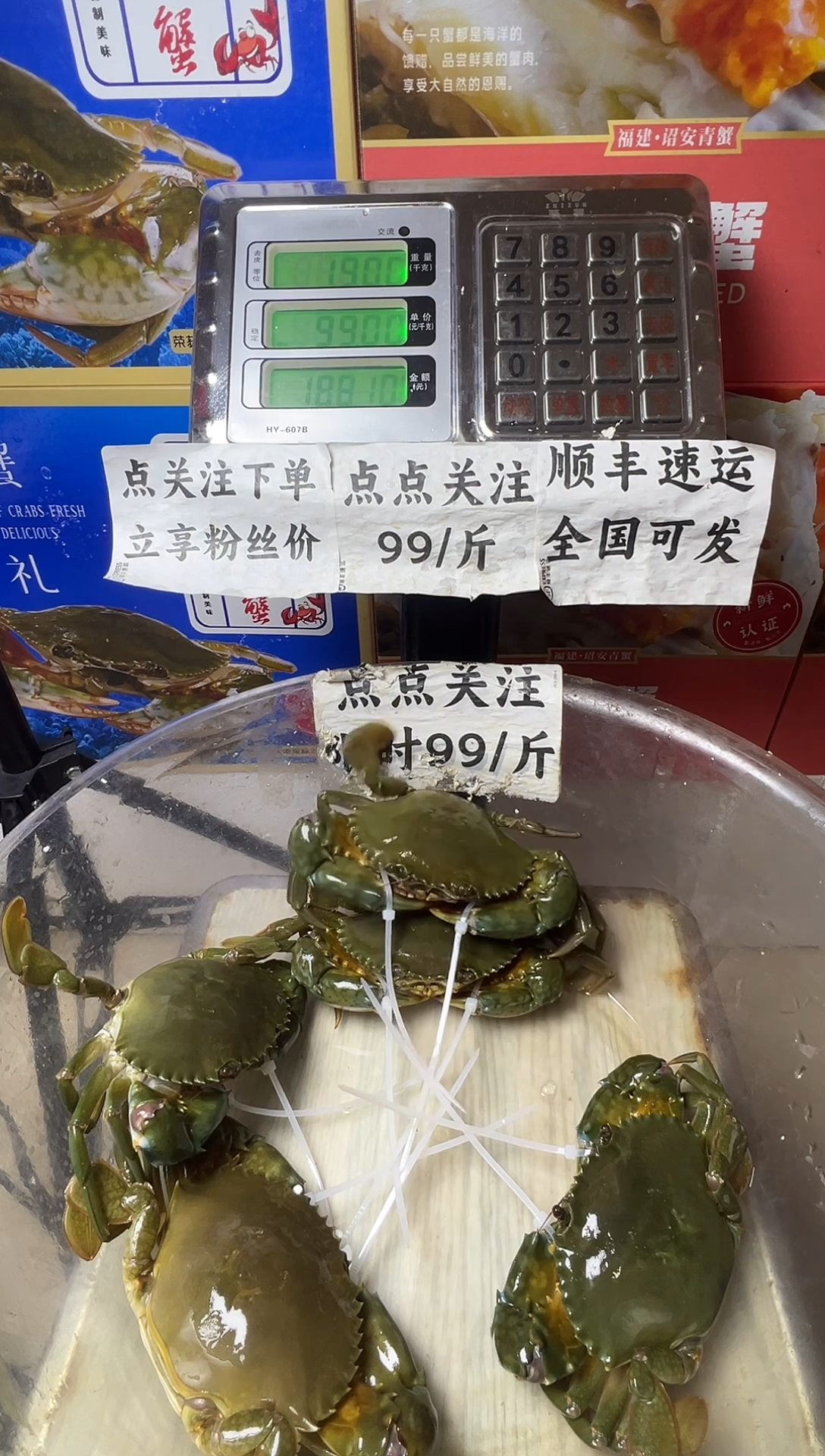 中国大陆福建漳州青蟹