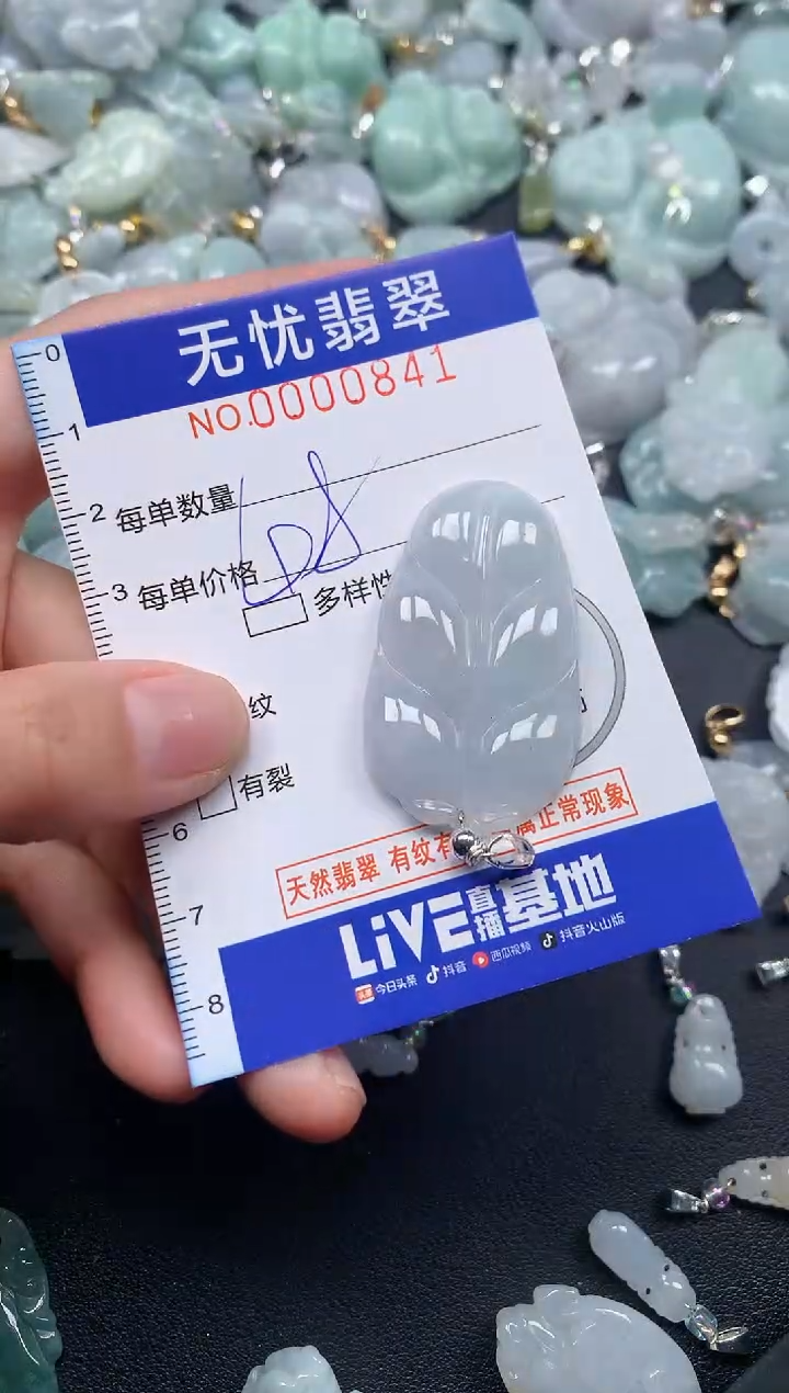 颈饰未镶嵌翡翠841