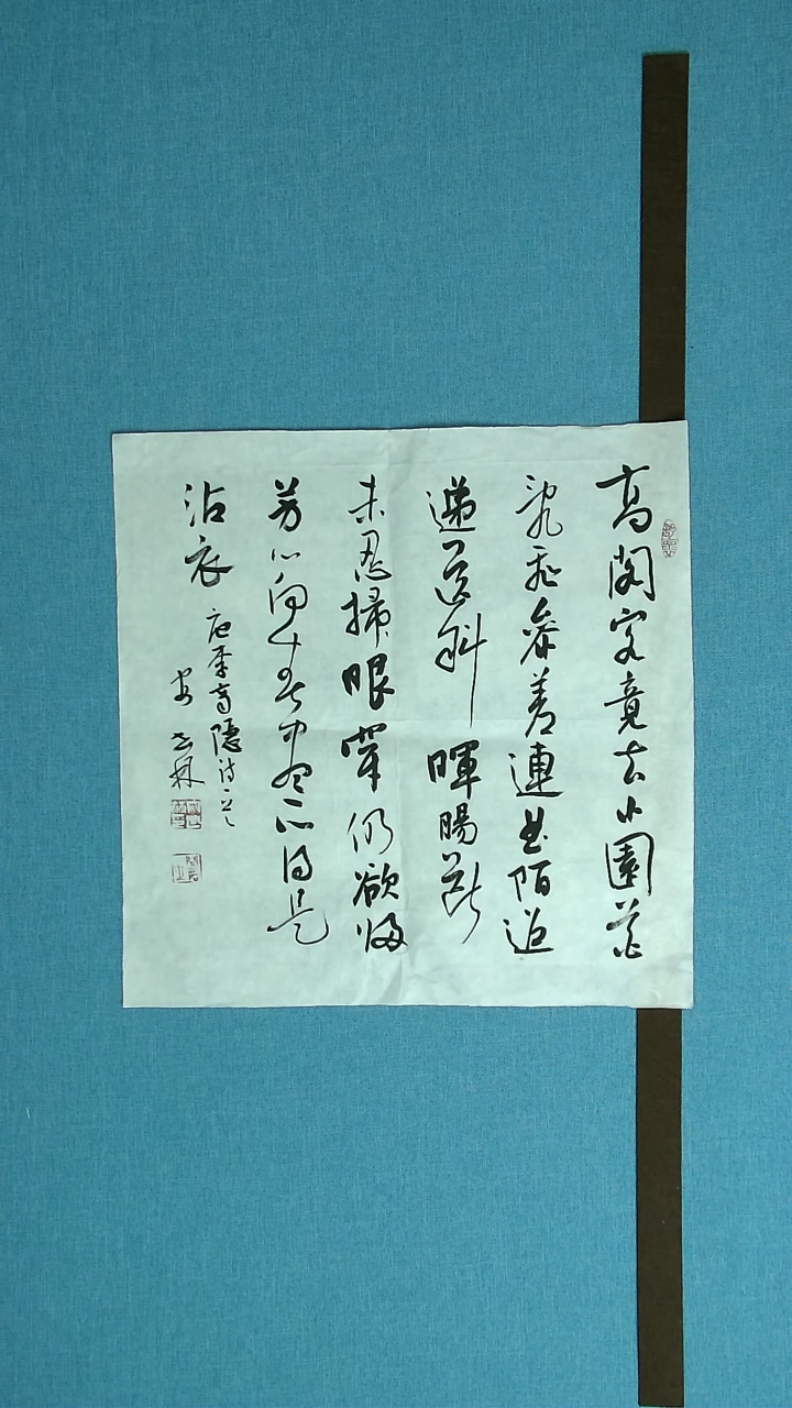 【闪购商品】书法124 甘肃安石林中书协45*45