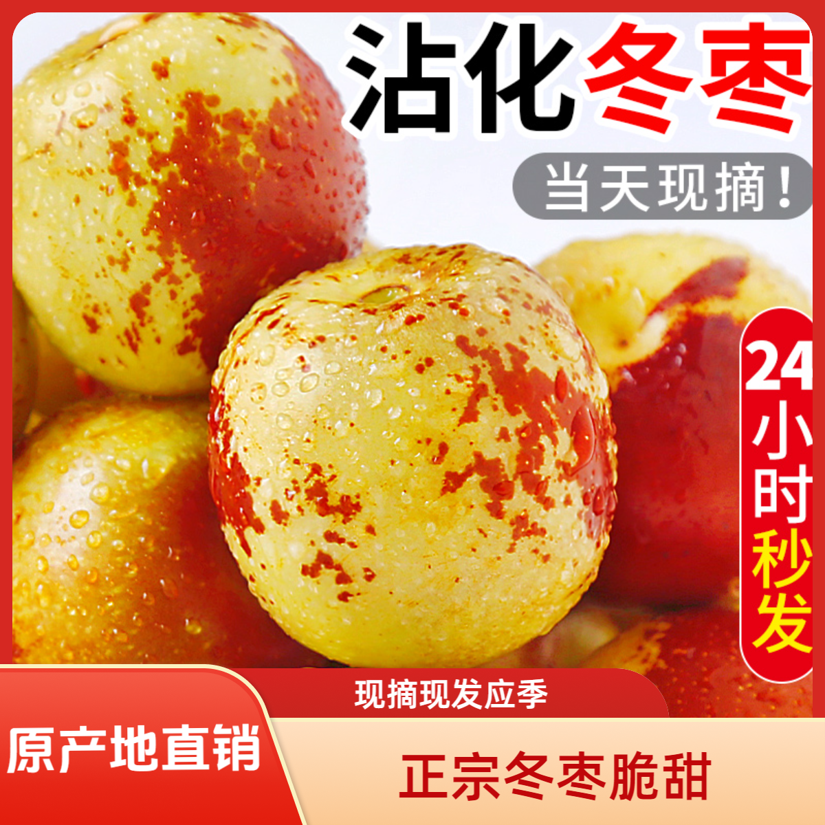 F正宗山东沾化冬枣脆甜枣子新鲜水果红枣脆甜应季现摘现发