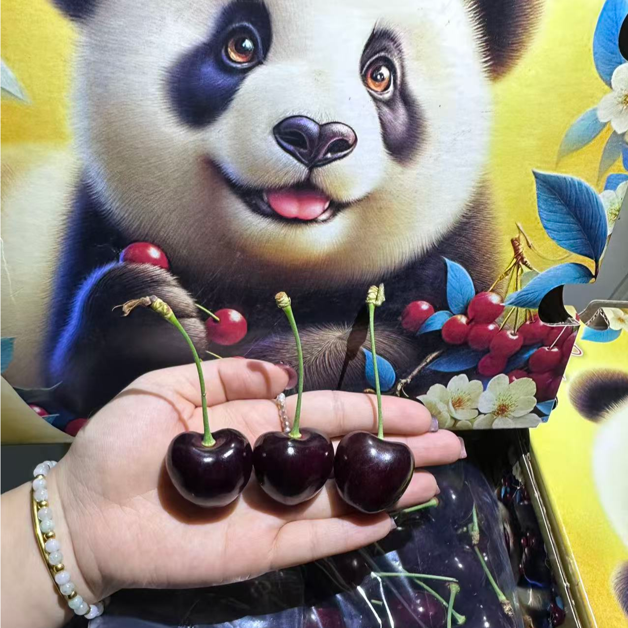 【智利空运科迪亚】智利空运科迪亚4JD（内附果径卡）