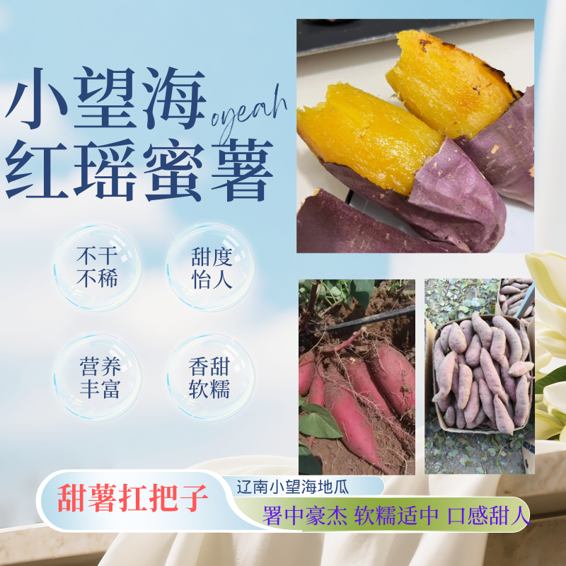 东北辽南小望海红瑶蜜薯榴莲蜜薯甜薯香甜软糯丝滑细腻甜度高