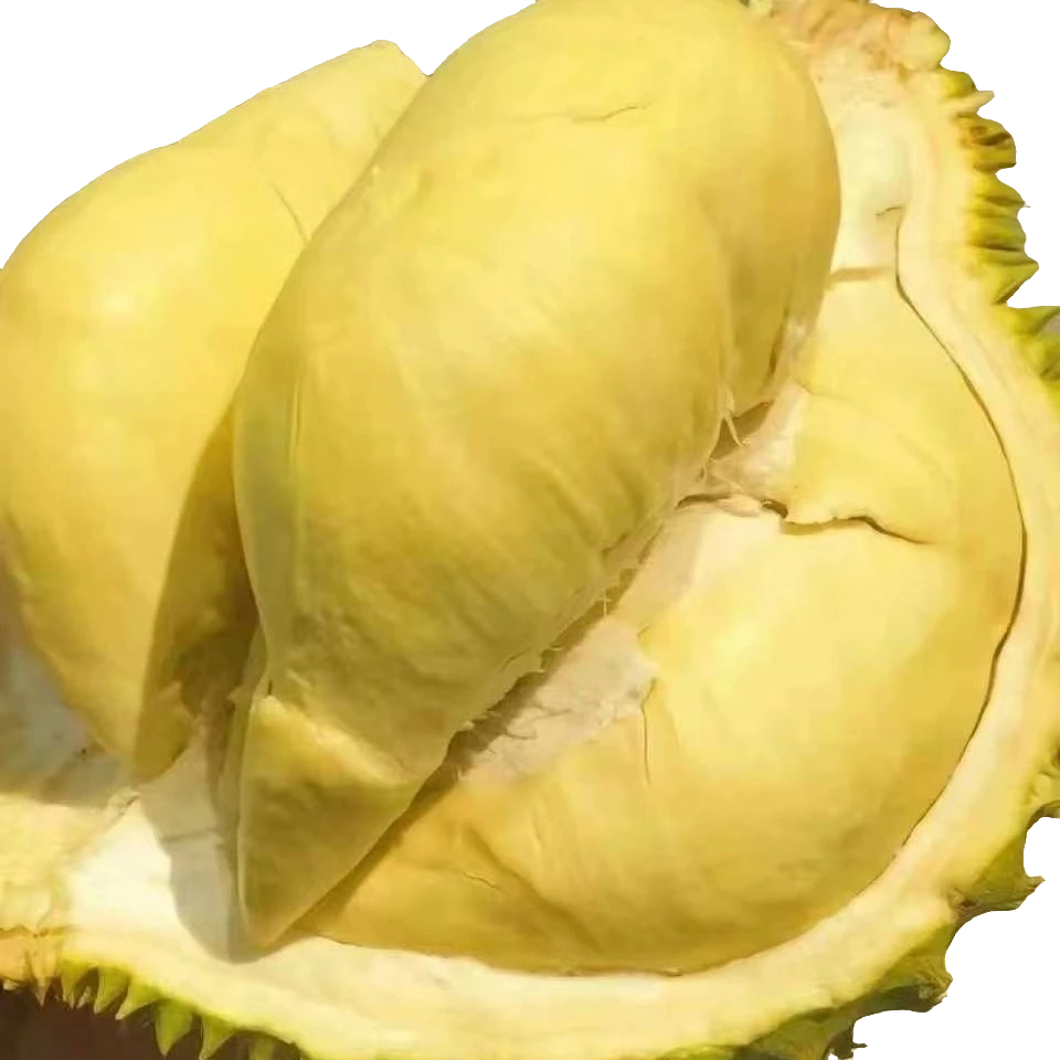 新鲜金尧榴莲3到5斤左右，肉甜核大！黄肉香甜金尧越南