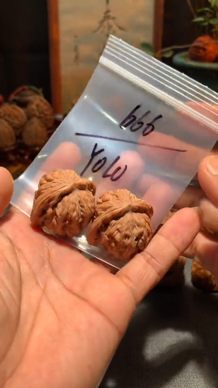 把件桃核Y**O丰泰文玩  拱桥楼  40尺寸