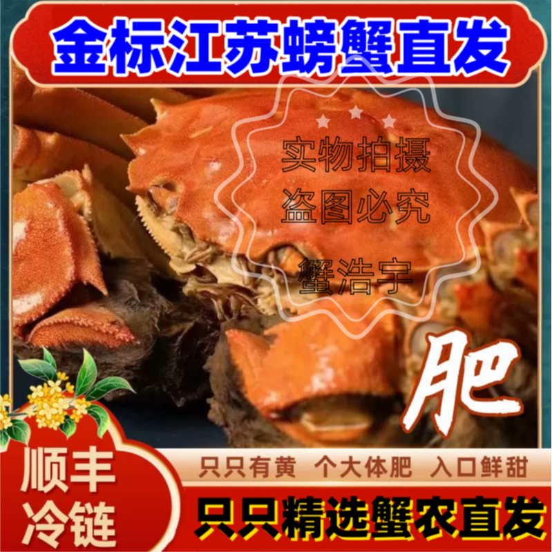 【活蟹现发】精品全母蟹10只装（1.7-2.0两）洪泽湖螃蟹礼盒顺丰包邮5